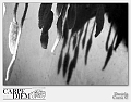 0022-S-Frange di luce